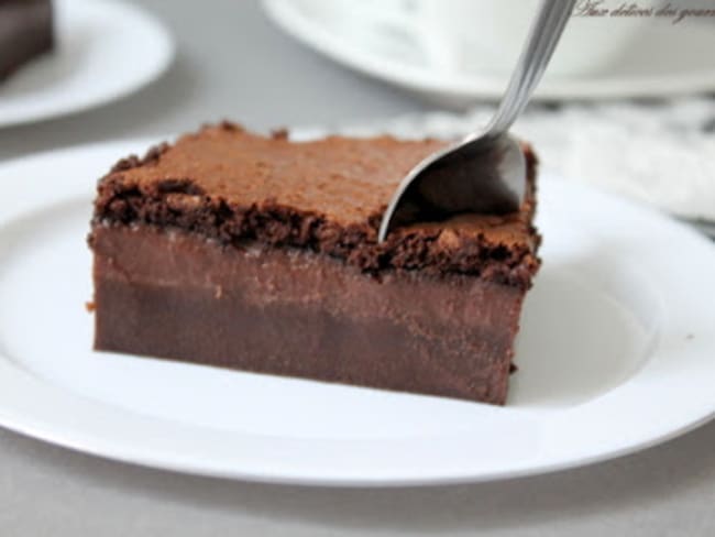 Gateau Magique Au Chocolat Recette Par Aux Delices Des Gourmets