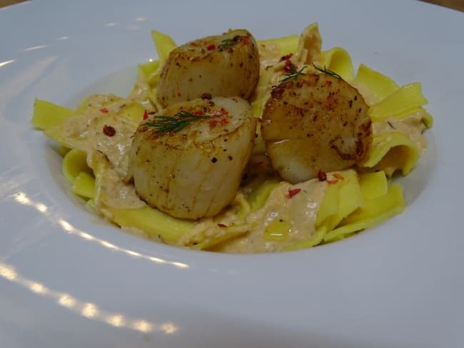 Toutes nos recettes et astuces pour cuisiner facilement le corail de