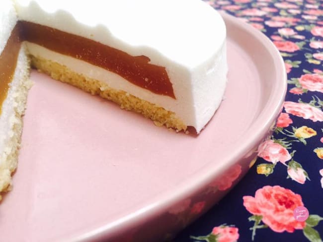 Entremets Exotique Coco Passion Citron Vert Recette Par Encore Un Gateau