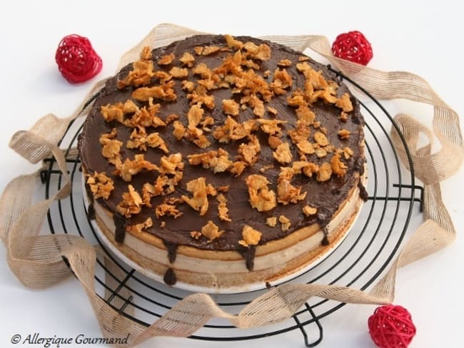 Gateau A La Mousse De Speculoos Recette Par Allergique Gourmand