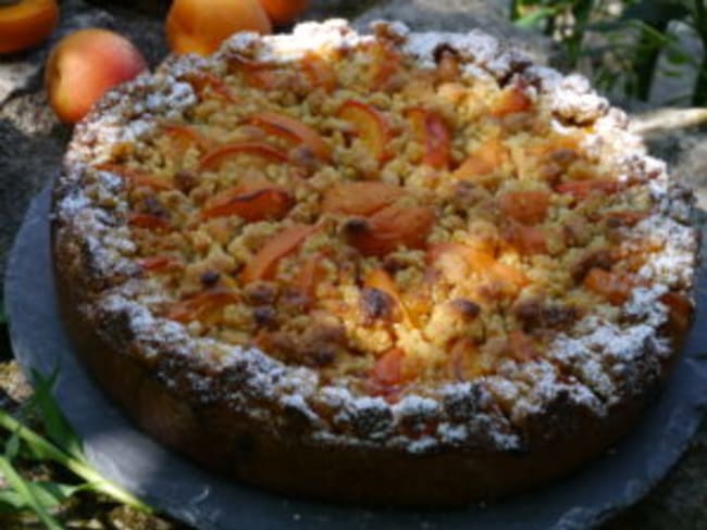 Gateau Autrichien Aux Abricots Frais A Ma Facon Recette Par Les Gourmandises De Mamie Denise