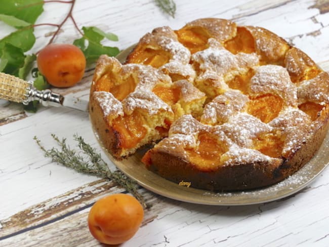 Gateau Brioche Aux Abricots Recette Par Epicetout