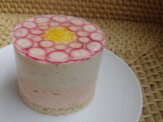 Bavarois Saumon Fume Concombre Chevre Recette Par Recettes Pour Se Regaler