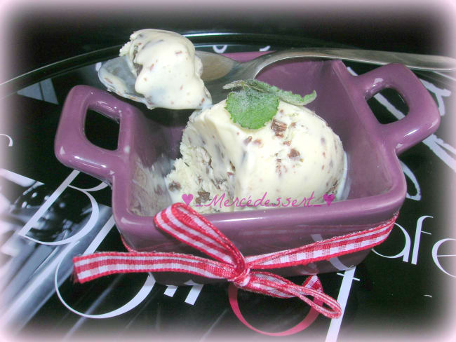 Crème glacée menthe chocolat avec ou sans sorbetière