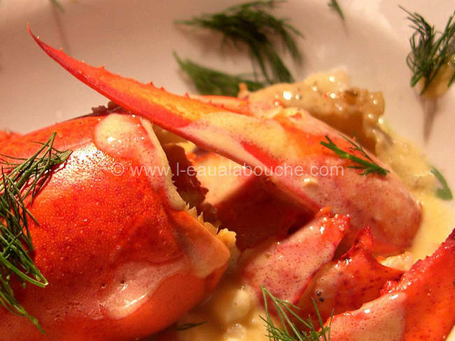 Homard et langoustines, sauce Champagne et orange