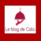 Catalina - Le Blog de Cata