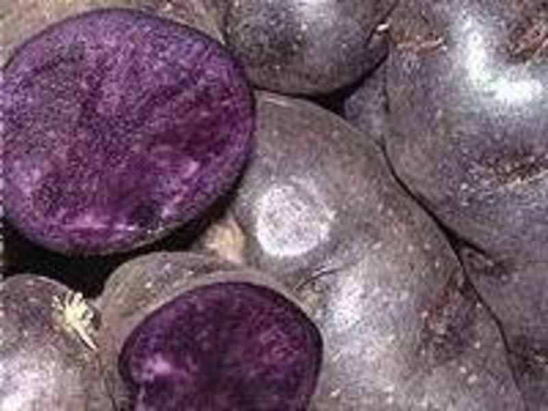 Cuisiner La Pomme De Terre Vitelotte Recette De Vitelotte