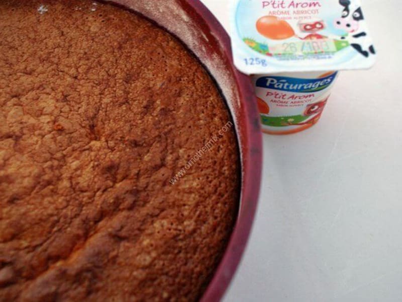 Gateau Au Yaourt Saveur Abricot Au Thermomix Facile Et Rapide Recette Par Omothermix