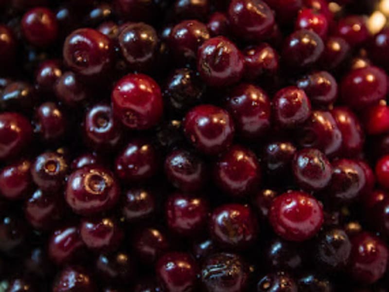 Compote De Cerises A Partir De 6 Mois Recette Par Cuisine Et Nutrition Enfant Compote De Cerises A Partir De 6 Mois Recette Par Cuisine Et Nutrition Enfant