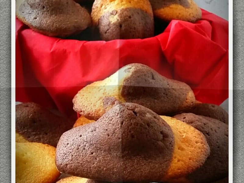 Madeleines au chocolat et à la vanille : Recette de Madeleines au chocolat  et à la vanille