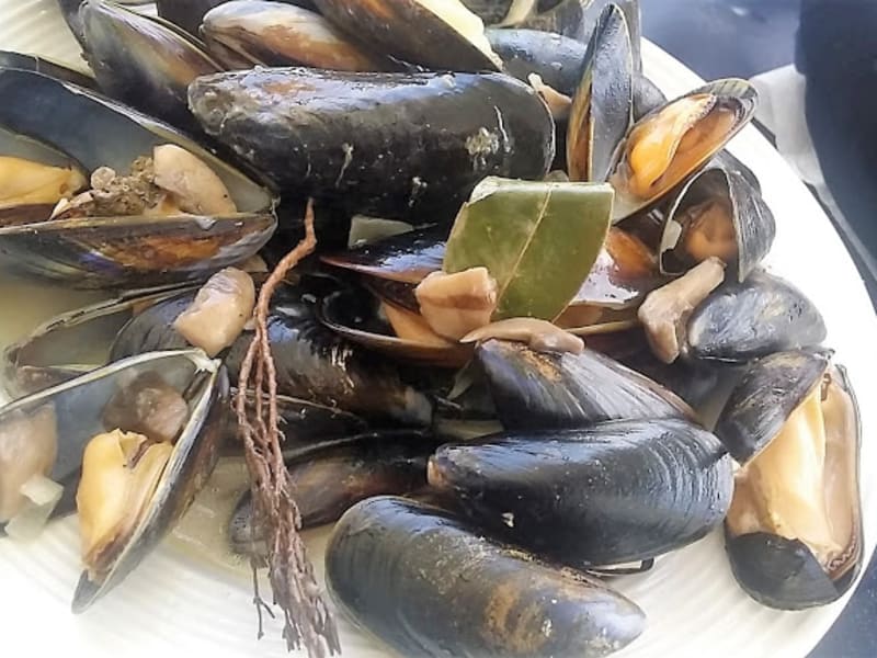 Moules A La Creme Et Aux Champignons Recette Par Catalina Le