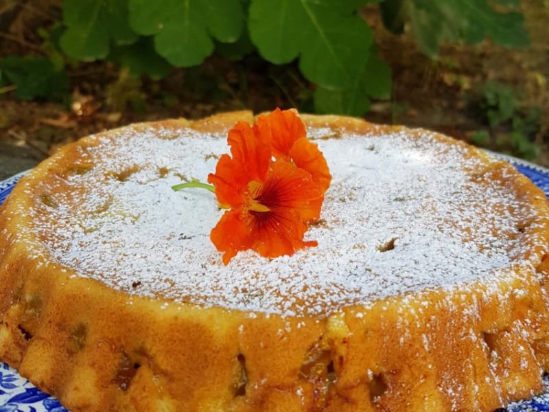 Gateau Lorrain Aux Mirabelles Recette Par La Cuisine De Giulia