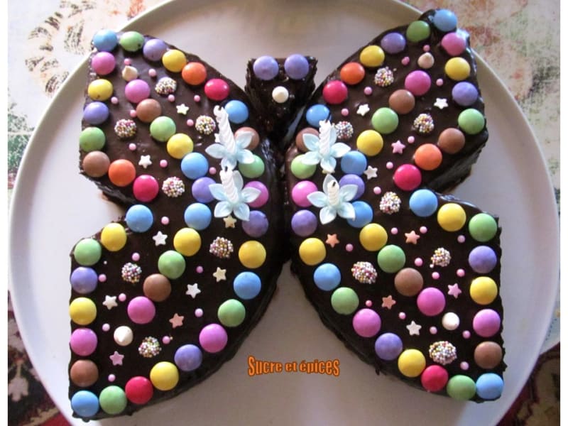 Gateau Papillon A Faire Avec Les Enfants Recette Par Sucreetepices