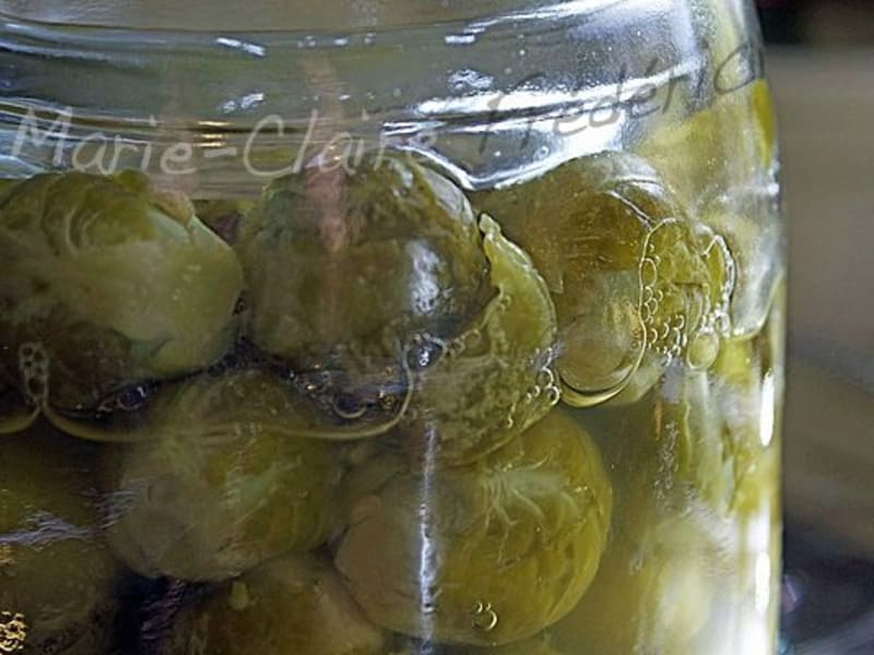 Les Conserves Maison Faire Ses Conserves Un Plaisir Plus Qu Un Besoin