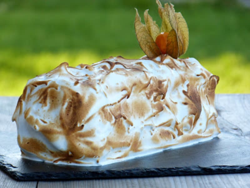 Buche De Noel Polonaise Au Rhum Recette Par Chic Chic Chocolat