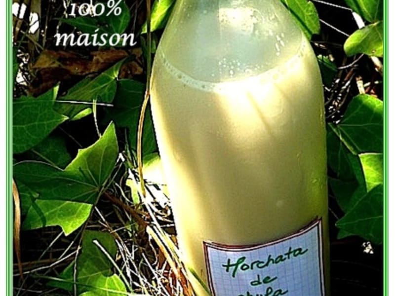 Horchata De Chufa Recette Par Lafrancesa