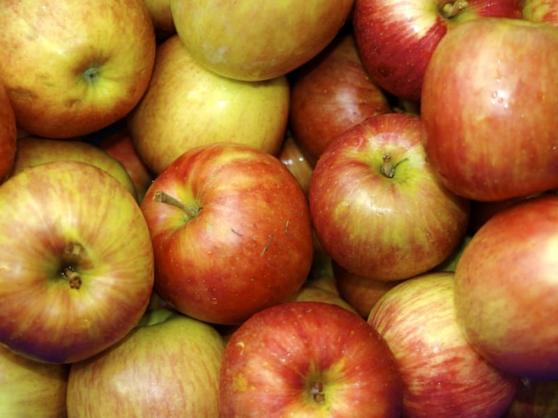 Des recettes à tomber avec la pomme sous toutes ses formes