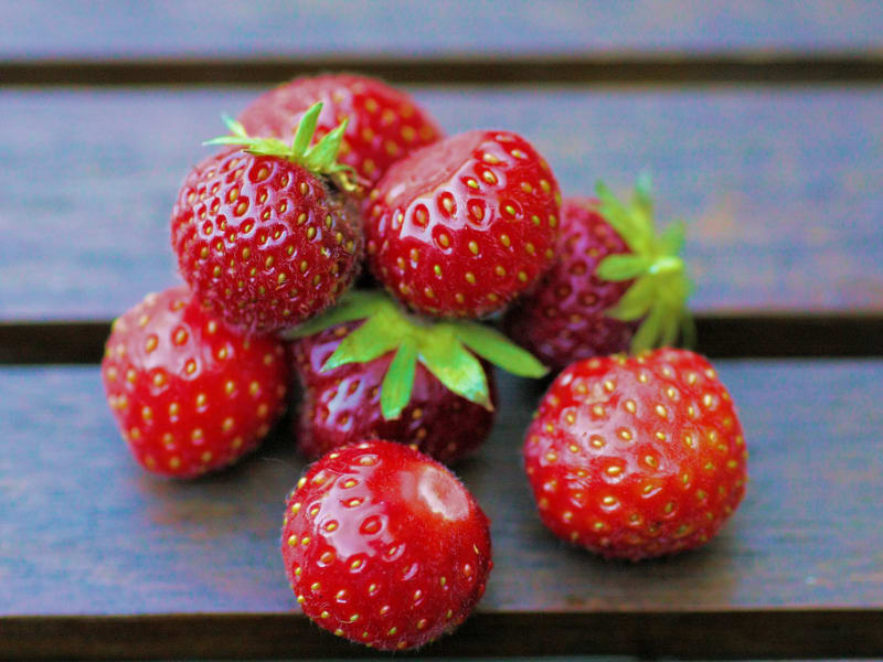 La saison des fraises des bois est courte, profitez de nos recettes,  tartes, macarons, charlottes