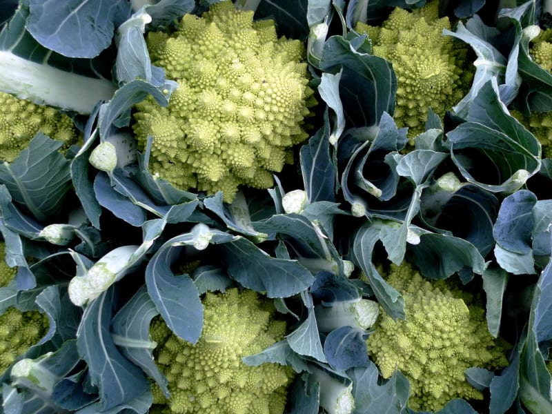 Recette Poêlée de chou Romanesco à la crème