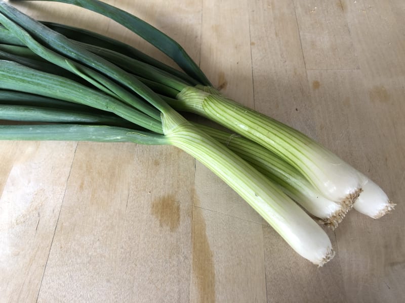 Recettes De Cebette Et D Oignons