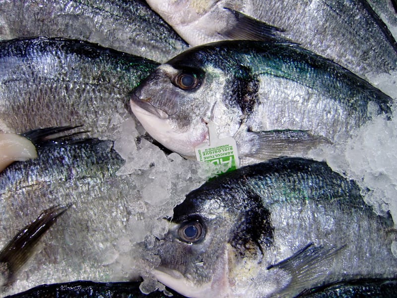 Poisson pané - achat vente en ligne de poisson pané frais de Bretagne