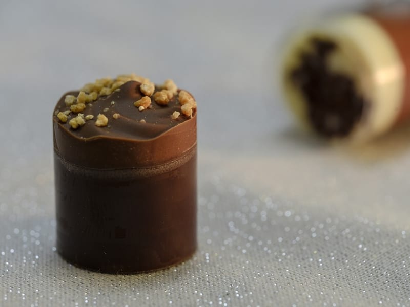 La Maison du Chocolat - Le Praliné 😍 On craque pour son biscuit  croustillant aux noisettes caramélisées, on fond pour son onctueux praliné  à la crêpe dentelle et sa fine couche de