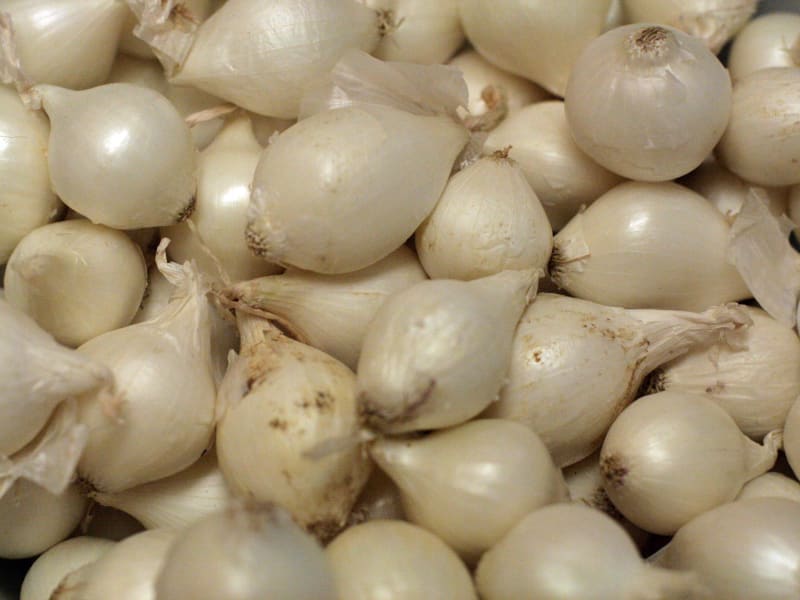 Recettes D Oignons Grelots Et De Vinaigre Balsamique Recettes D Oignons Grelots Et De Vinaigre Balsamique