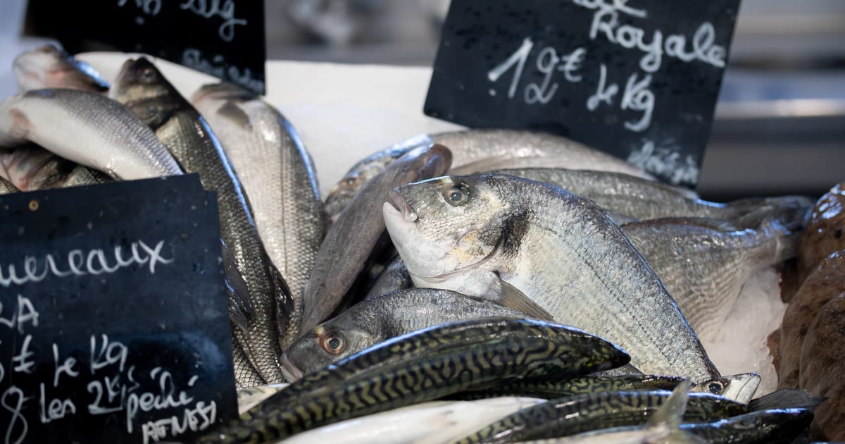 Conseils d'achat du poisson - Bien choisir le poisson en fonction de ses  qualités