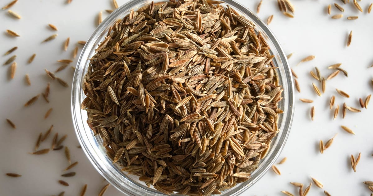 Tout savoir sur le cumin (Cuminum cyminum)