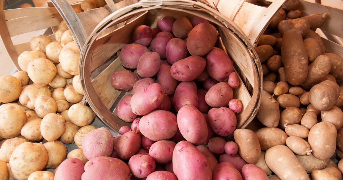 Les pommes de terre - Histoire, variétés, cuisine