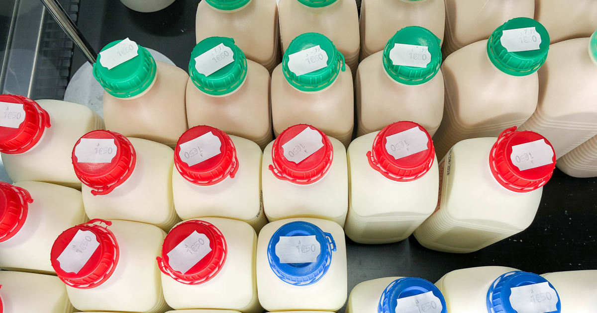 Le lait - Frais, entier, demi-écrémé, écrémé : composition et