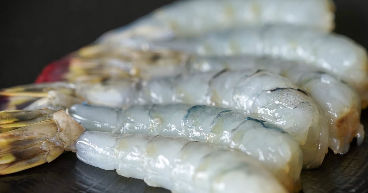 Decortiqueur à crevettes - Arts de la table