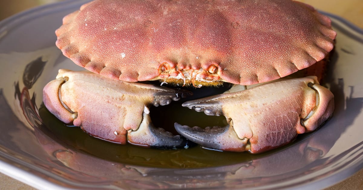 PINCES DE CRABE TOURTEAU ET LEUR MAYONNAISE A L'AIL DES OURS