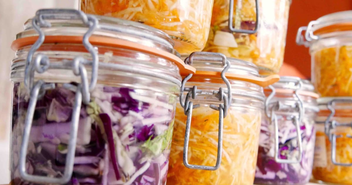 Recettes de lacto-fermentation par Bouchées Doubles : Comment conserver ... - Bocaux De Lacto Fermentation Recettes de lacto-fermentation par Bouchées Doubles : Comment conserver ... - Bocaux De Lacto Fermentation