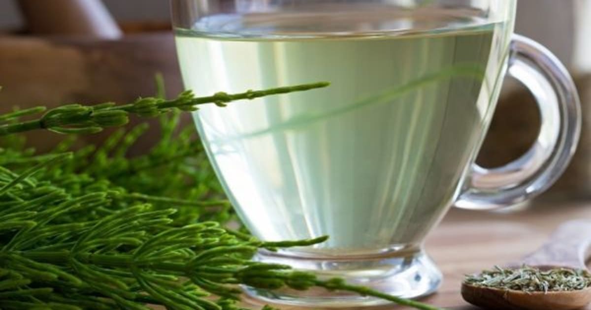 Tisane de menthe verte (infusion) - Recette par Danie11