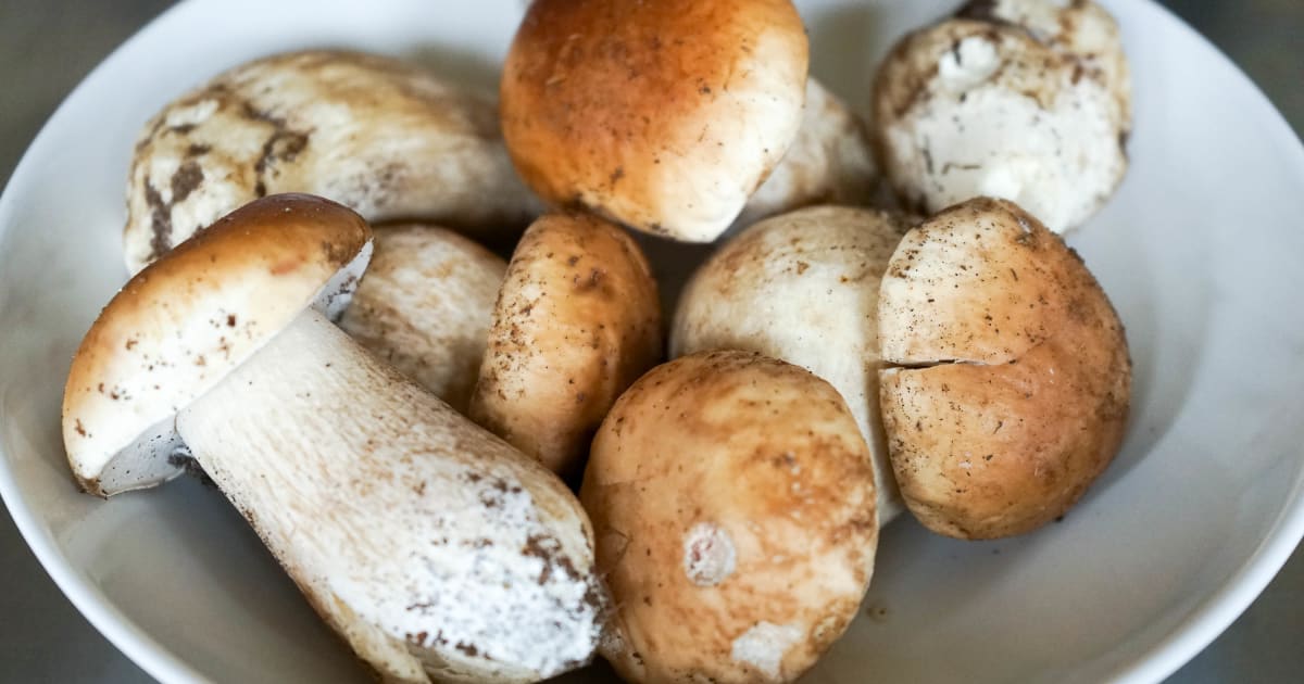 Comment nettoyer des champignons ?