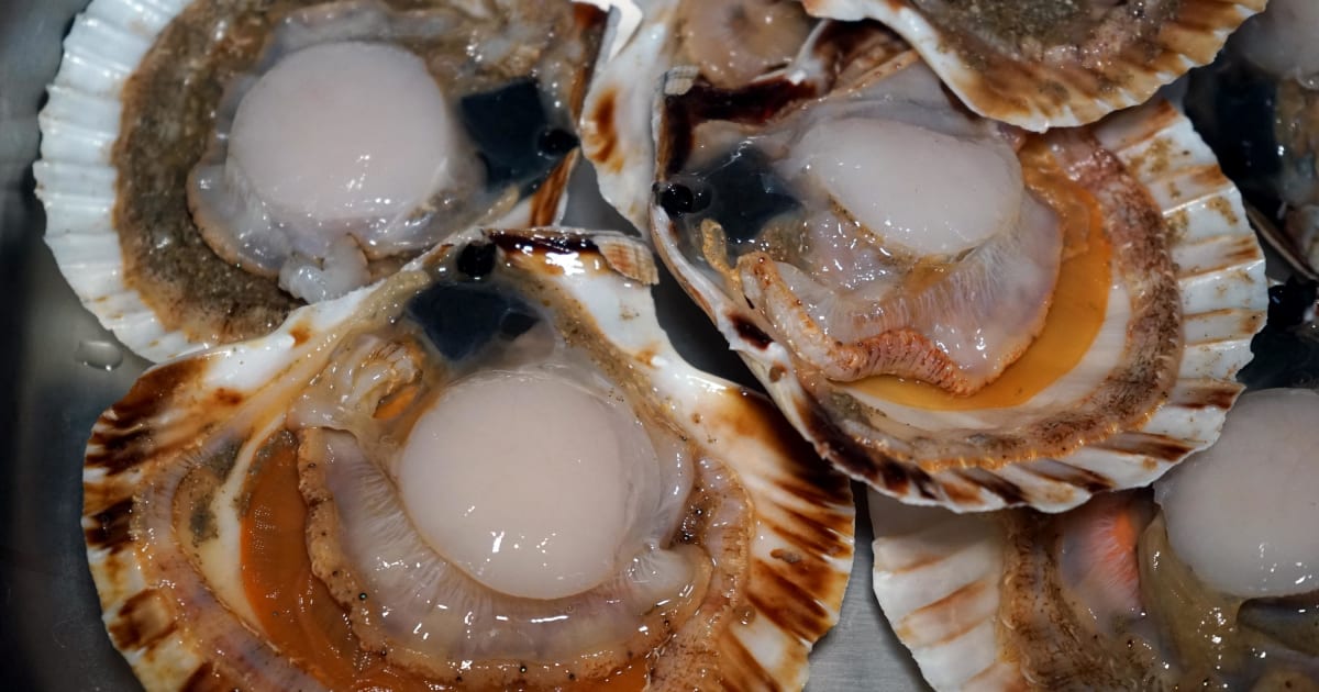 Pour ouvrir huîtres et coquilles St Jacques pour 1 personnes