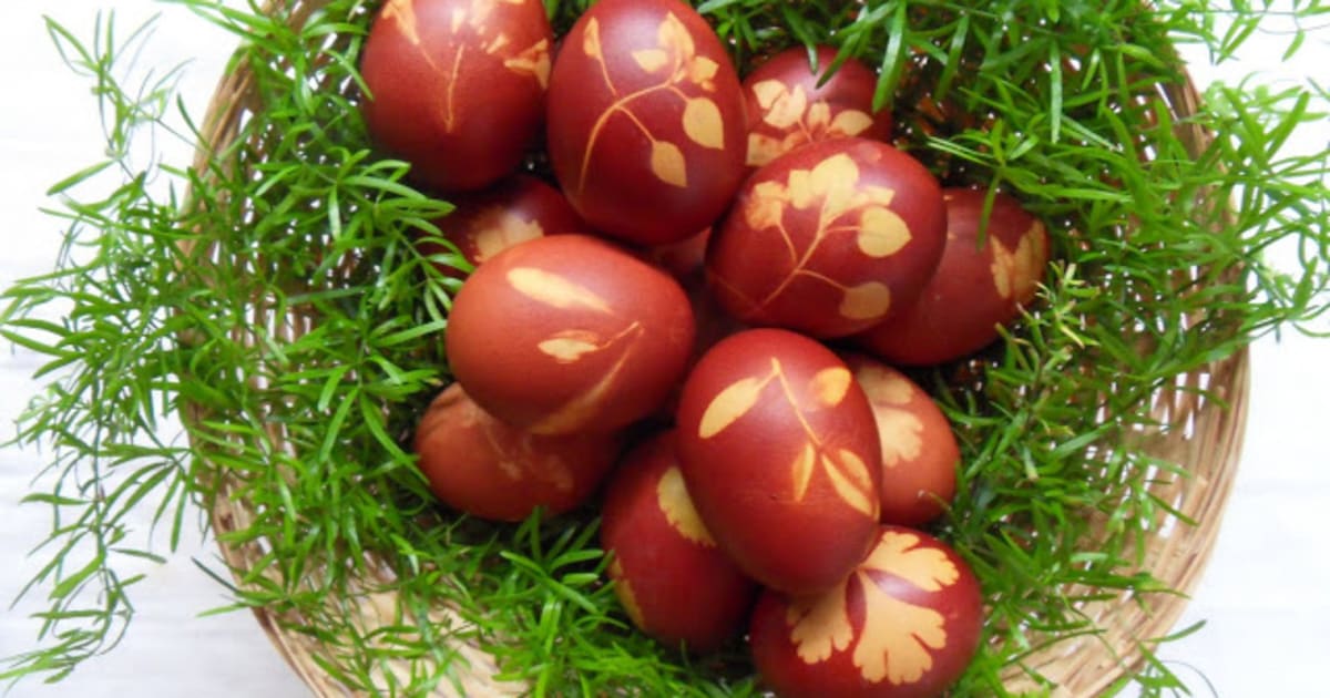 TEMI Oeufs de Pâques au poulet pour tout petits Trieur de - Temu