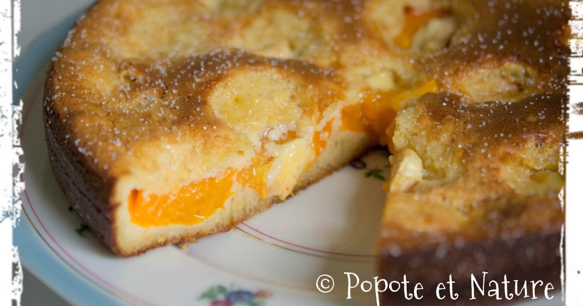 Gateau Croustimoelleux Aux Abricots Et Au Chocolat Blanc Recette Par Popote Et Nature