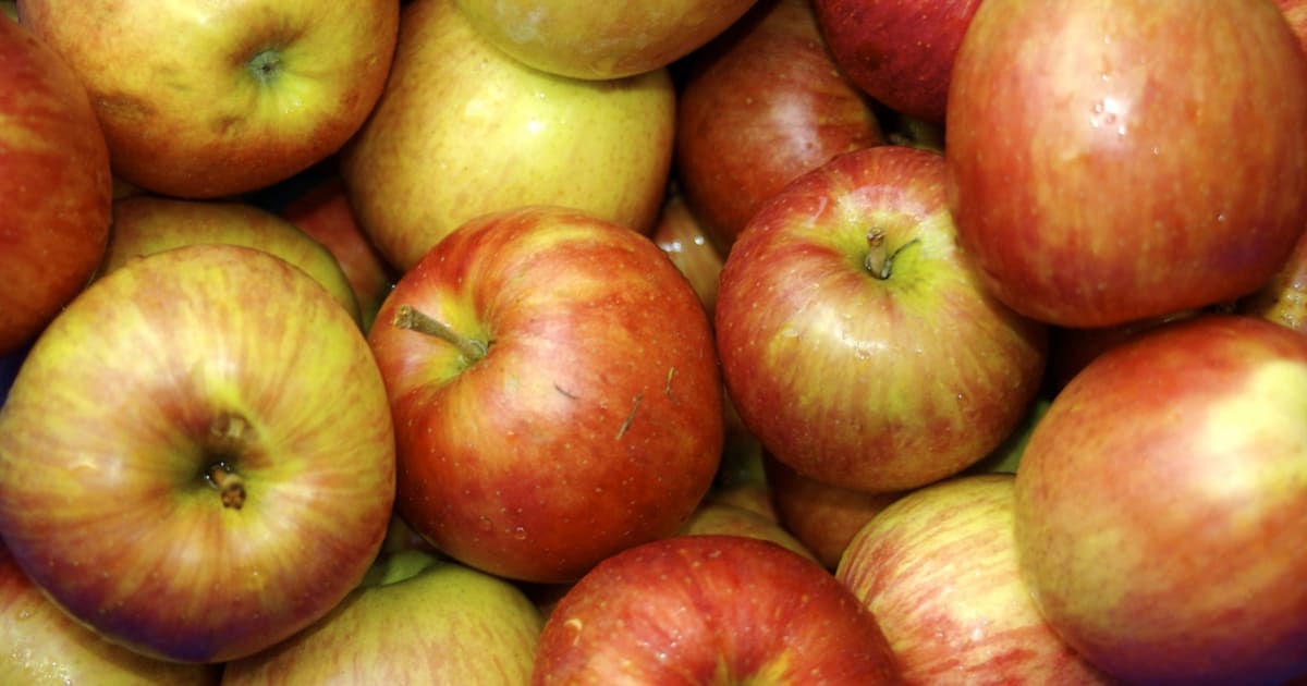 Des recettes à tomber avec la pomme sous toutes ses formes