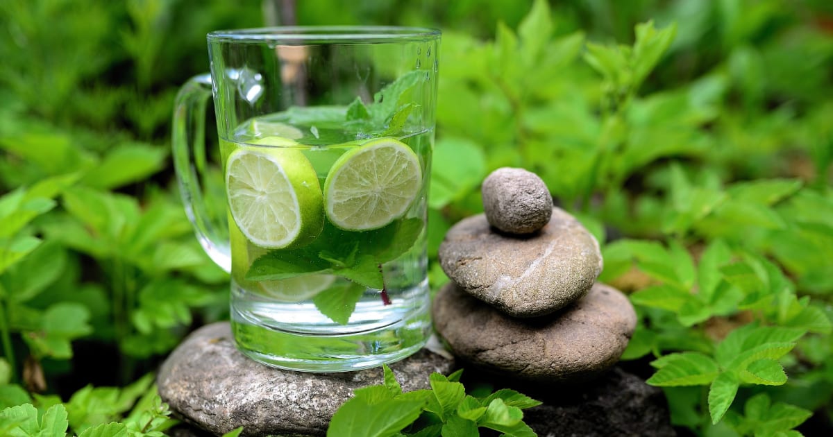 Que faire avec de la menthe fraîche ? Nos recettes pour l'utiliser en