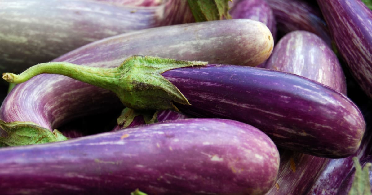 Ficelle Alimentaire, Aubergines et Potager