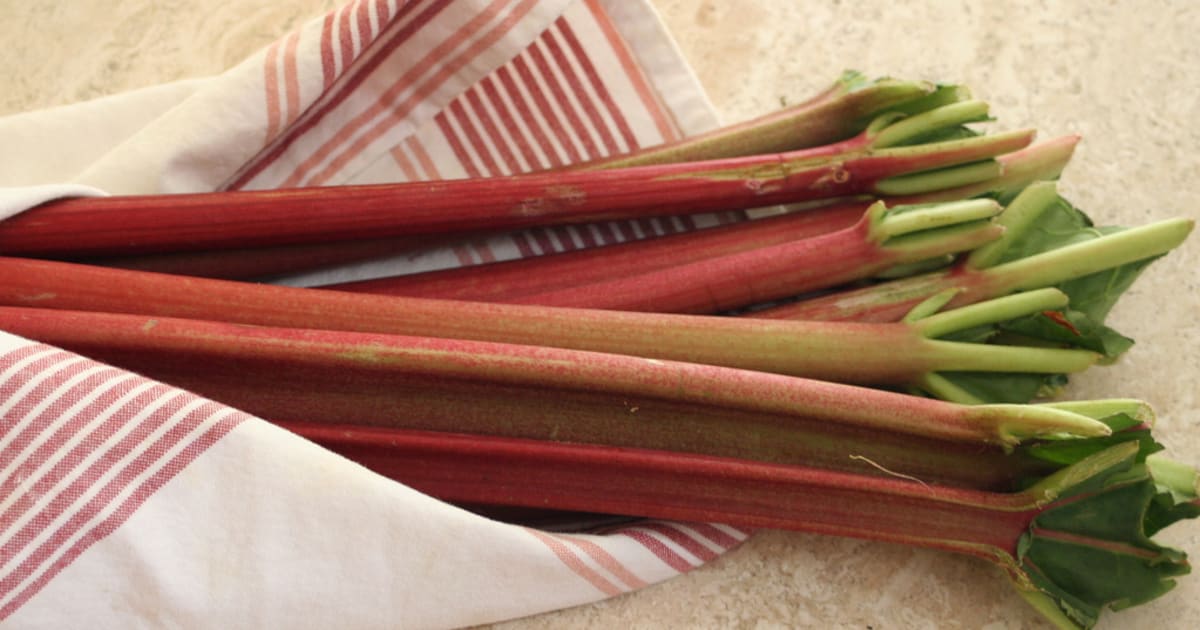 Racine De Rhubarbe Séchée Coupée - 85 G - Rheum Rhabarbarum - Naturelle - Qualité Alimentaire