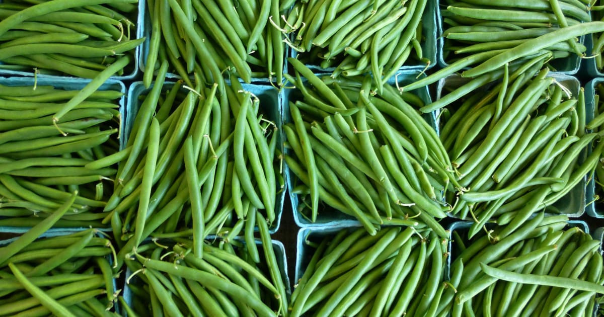 Toutes nos recettes pour cuisiner les haricots verts en saison et