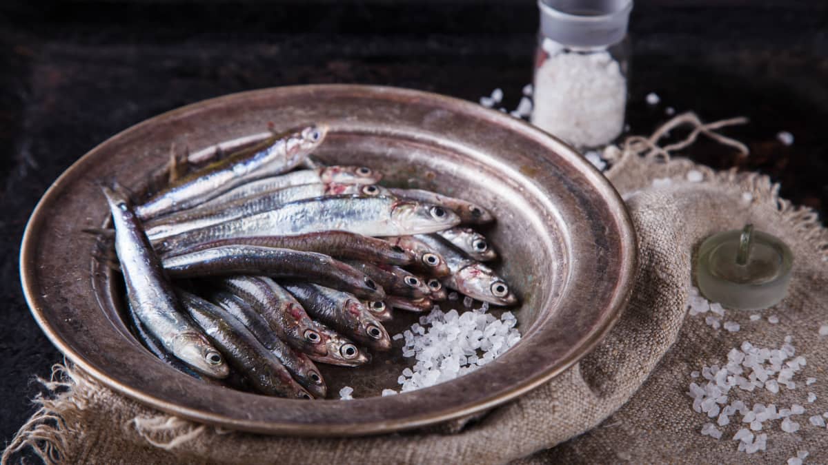 Anchois frais et gros sel
