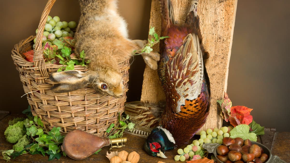 Retour de chasse