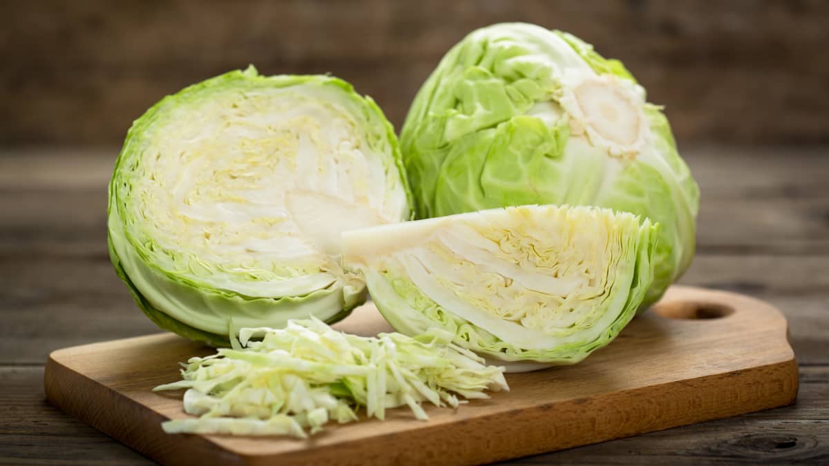 Chou blanc