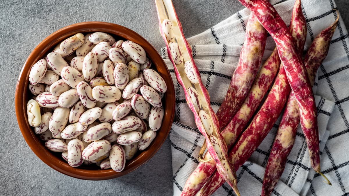 Haricots Borlotti