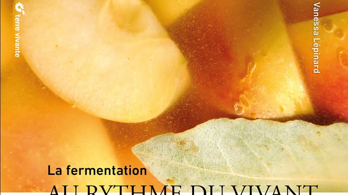 La fermentation au rythme du vivant