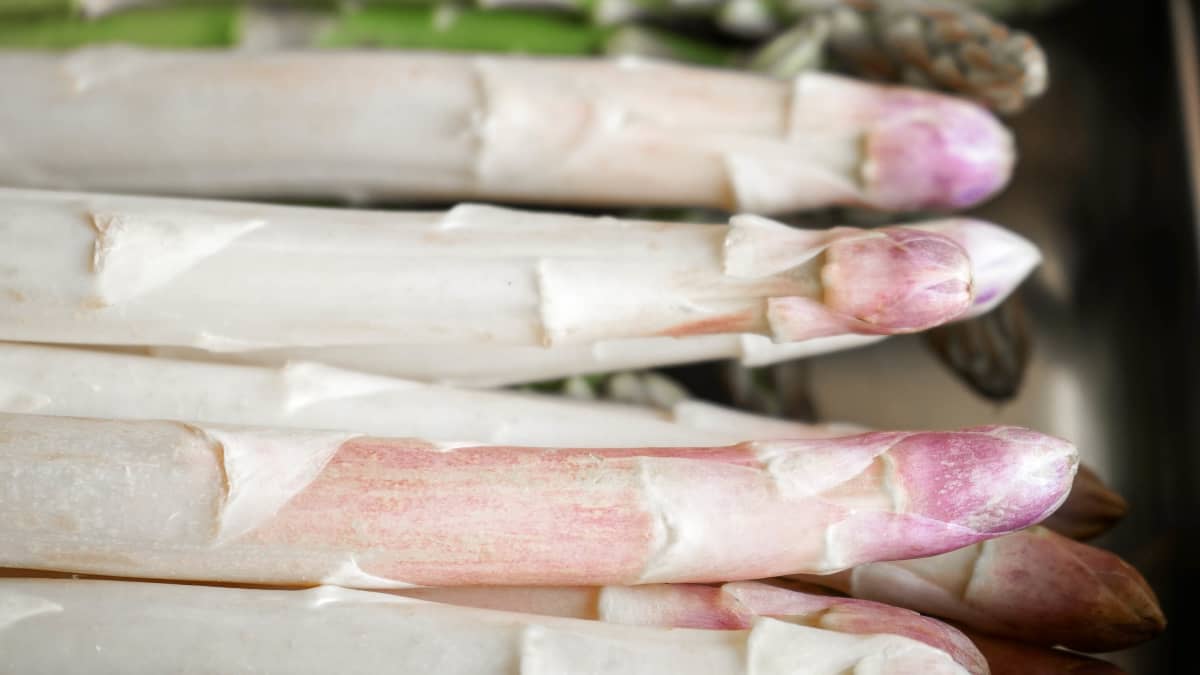 Asperges blanches en gros plan